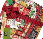 Exciting and Rewarding Sales Work