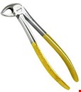 Extracting Forceps