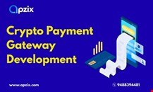 ApziX Develops a Crypto Payment Gateway in Just 5 Months!