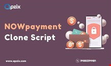Cost-Effective Payment Gateway Like NOWPayments  from ApziX