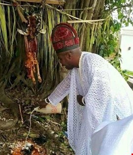 The Best Powerful Spiritual Herbalist Native Doctor IN Nigeria