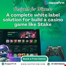 Experience Smooth Casino Operations with Our Expertly Developed Stake Clone Script