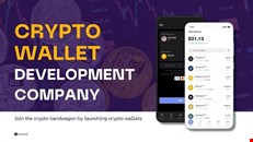 Cryptocurrency wallet development company
