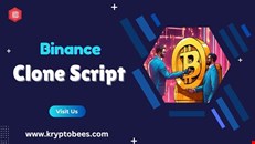 Kryptobees: Safe and Affordable Binance Clone Script Provider