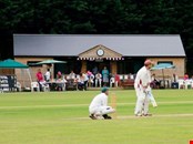 British Crafted Solid Wooden Pavilion Manufacturers in UK!