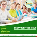 Stop your search for an assignment writer in London with us