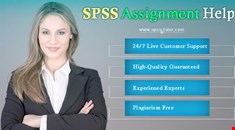 SPSS Assignment Writing help in UK