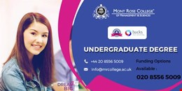 Undergraduate Degree in UK