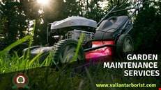 Garden Maintenance Services in Essex | Valiant Arborist