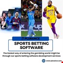 Create your profitable online sports betting venture with our services