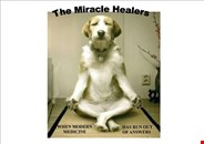 the miracle healers