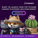 Pixelverse clone script - Affordable solution from Plurance to launch T2E game platform