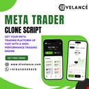 MetaTrader Clone Script by Hivelance: Enter the Online Trading Market Fast