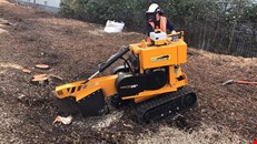 Tree Surgeons in Essex | Valiant Arborist Ltd.