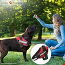 Julius K9 IDC Dog Harness