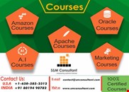 Best Oracle APEX Training Online