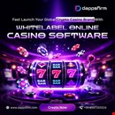 Crypto Business Expansion Made Easy with Our White Label Casino Software