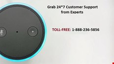 Echo Device Support
