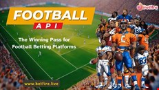 Leading Football-api-provider for Seamless Football API Integration in 2025