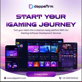 Need iGaming MVP Built on Limited Budget – Investors Ready