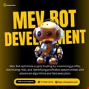 New high-quality services in MEV Bot Development