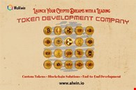 Your Idea, Your Token – Built by Experts