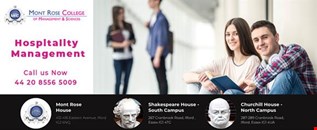 International Hospitality Management