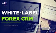 Join the Brokers Who Scaled Faster with Hashcodex Forex CRM!