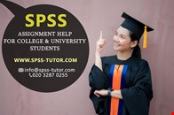 Top Quality Assignment writing work by SPSS TUTOR