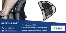 Find the  Best back support for car