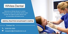 How To Find The Best Dentist in Waterloo