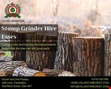 Stump Grinder Hire Essex | Call us