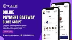 Launch a Global Payment Gateway Like PayPal or Stripe Effortlessly