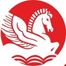 HDPE Bags Delivering Smart Packaging With Lasting Reliability