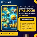Stablecoin Development Company