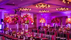 Wedding Event solution in London,