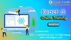 React js Online Training India