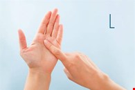 BRITISH SIGN LANGUAGE (BSL) AT QLS LEVEL 1