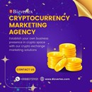 Bizvertex: Your Trusted Partner for Strategic Crypto Growth