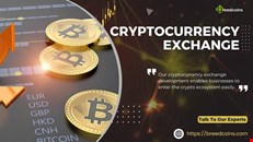 Searching for a Reliable Cryptocurrency Exchange Development Partner in the USA? Try BreedCoins!