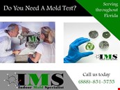 HOME MOLD TEST IN PORT CHARLOTTE