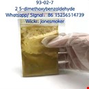Factory High Purity CAS 93-02-7 2, 5-Dimethoxybenzaldehyde C9h10o3 in Stock