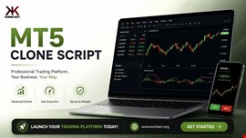  MT5 Clone Script for Launching Your Own Forex Trading Platform
