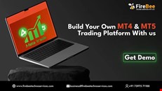 MT5 Development Company
