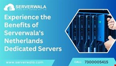 Experience the Benefits of Serverwala's Netherlands Dedicated Servers 
