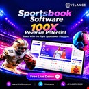 Big Vision. Bigger Opportunity. Build Your Own Sportsbook