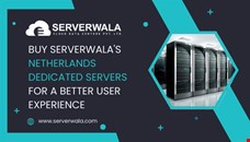 Buy Serverwala's Netherlands dedicated servers for a Better User Experience