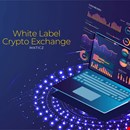 White Lable Crypto Exchange - Maticz