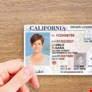 ID/Passport/License/Diploma/Visa/Certificates