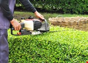 Garden Maintenance Services